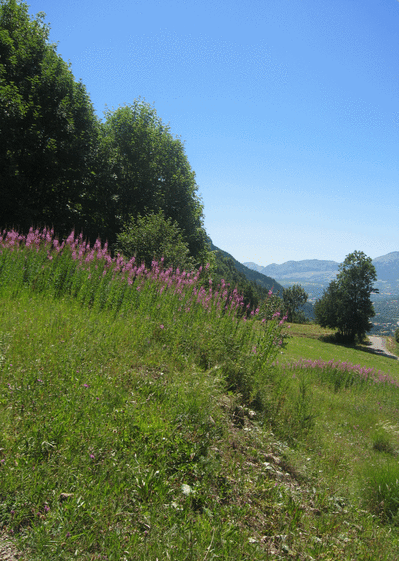 Alpes du sud